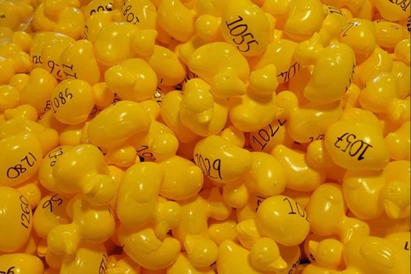 Sowerby Bridge Duck Race